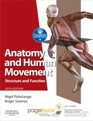 Anatomy And Human Movement Structure And Function Nigel Palastanga