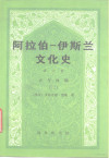 阿拉伯-伊斯兰文化史 第6册 正午时期 2 封面