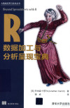 大数据应用与技术丛书 R数据加工与分析呈现宝典 封面