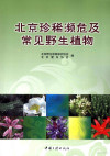 北京珍稀濒危及常见野生植物 封面