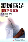 糖尿病足临床研究图解 封面