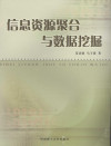 信息资源聚合与数据挖掘 封面