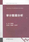 审计数据分析 封面