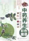 中药养生彩色图谱 封面