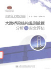 大跨桥梁结构监测系统数据分析与安全评估 封面