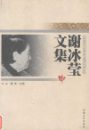 谢冰莹文集 中 封面