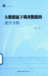 大数据流下调查数据的统计分析 封面