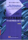 DNA芯片和基因表达 从实验到数据分析和模建 影印版 封面