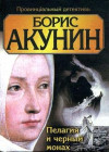 Медвежатница акунин