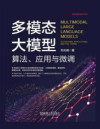 多模态大模型:算法、应用与微调 封面