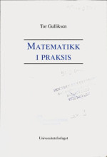Tor H. Gulliksen — Matematikk i praksis