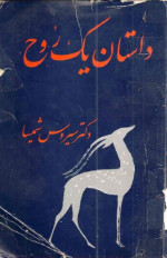 سیروس شمیسا — داستان یک روح - شرح و متن بوف کور صادق هدایت