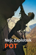Nejc Zaplotnik — Pot