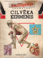 B. Fords — Cilvēka ķermenis.Enciklopēdija jaunatnei
