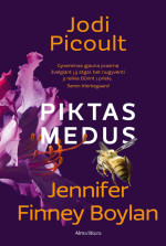 Jodi Picoult, Jennifer Finney Boylan — Piktas medus