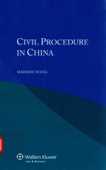 PIET TAELMAN — CIVIL PROCEDURE IN CHINA SHIZHOU WANG