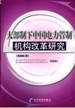 朱晓艳著 — 大部制下中国电力管制机构改革研究