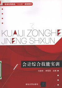 马智祥，李菊容，杨民军，李红，肖雪芬，于景存，李丛，史予英，张廷新，张赛丽，刘杰, 马智祥, 李菊容主编, 马智祥, 李菊容 — 会计综合技能实训