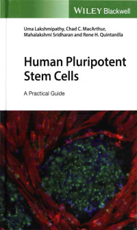 Rene H. Quintanilla — Human Pluripotent Stem Cells A Practical Guide,Uma Lakshmipathy,Chad C. Macarthur,Mahalakshmi Srdharan