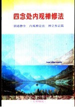  — 四念处内观禅修法：圆通静坐 内观禅定法 禅宗参证篇