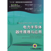 袁立强等编著 — 电力半导体器件原理与应用