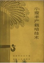 福建省农业厅编 — 小麦丰产栽培技术