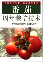 李新峥编著 — 番茄周年栽培技术