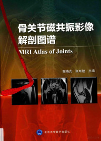 程晓光, 程晓光，张东坡主编, Pdg2Pic — 骨关节磁共振影像解剖图谱