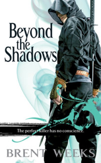 Weeks Brent — Beyond the Shadows