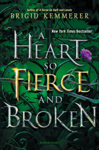 Brigid Kemmerer — A Heart So Fierce and Broken