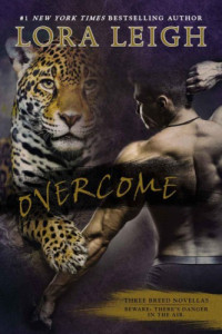 Leigh Lora — Overcome