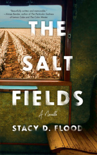Stacy D. Flood — The Salt Fields: A Novella