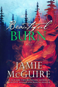 Mcguire Jamie — Beautiful Burn