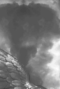 Wiehl Lis; Nelson Pete — Darkness Rising
