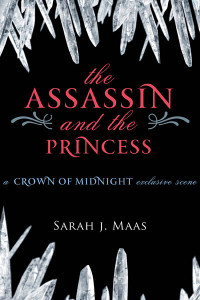 Maas, Sarah J — The Assassin and the Princess