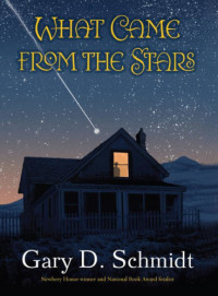 Schmidt, Gary D — What Came From the Stars