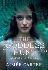 Carter Aimee — The Goddess Hunt