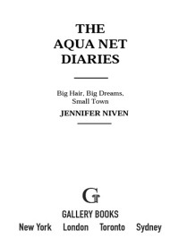 Niven Jennifer — The Aqua Net Diaries: Big Hair, Big Dreams, Small Town