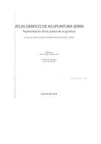  — Atlas Grafico de Acupuntura Seirin