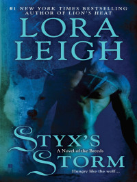 Lora Leigh — Styx's Storm