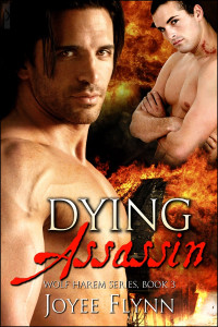 Flynn Joyee — Dying Assassin