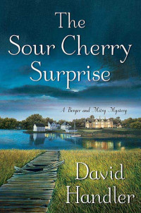 Handler David — The Sour Cherry Surprise