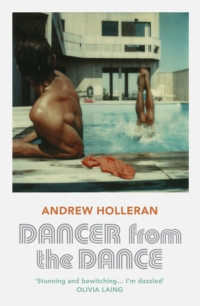 Andrew Holleran — Dancer From the Dance