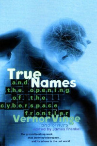 Vinge Vernor — True Names