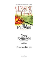 Feehan Christine — Dark Possession