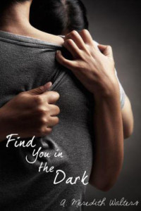 Walters, A Meredith — Find You in the Dark