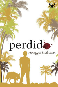 Maggie Stiefvater — Perdido