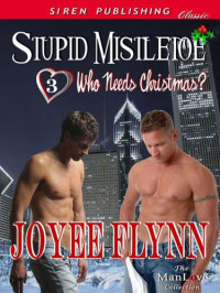 Joyee Flynn — Stupid Mistletoe (Who Needs Christmas? 3)