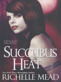 Mead Richelle — Succubus Heat
