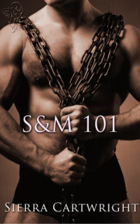 Cartwright Sierra — S&M 101